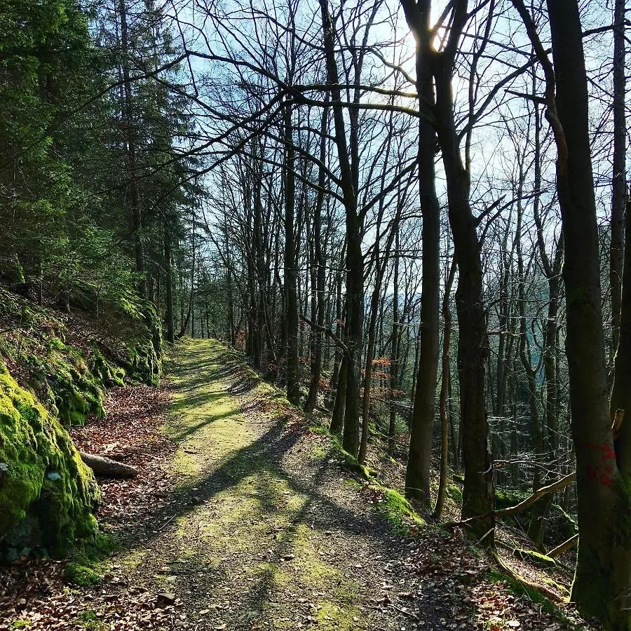 Ferienwohnung Frankenwald Naila 0*,  ألمانيا